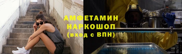 СК Алексин