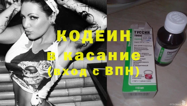 СК Алексин