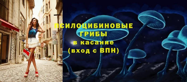стаф Алексеевка