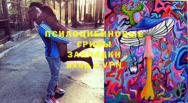 стаф Алексеевка