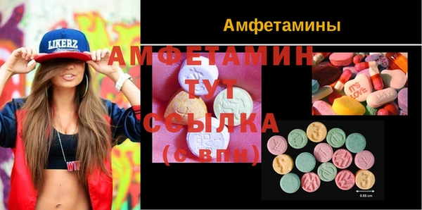 СК Алексин